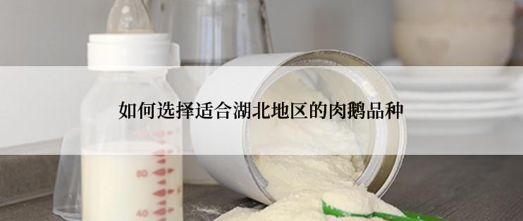 如何选择适合湖北地区的肉鹅品种