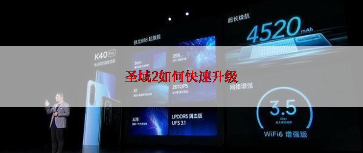 圣域2如何快速升级