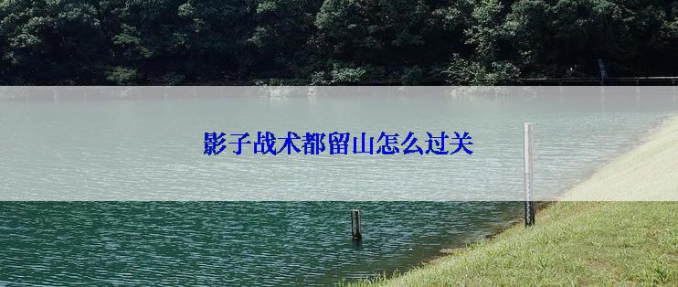 影子战术都留山怎么过关