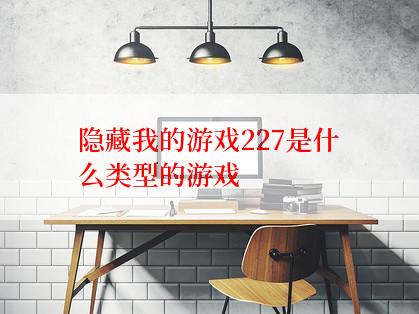 隐藏我的游戏227是什么类型的游戏