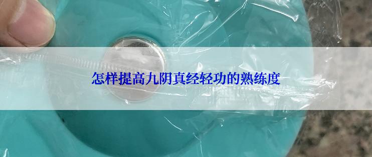 怎样提高九阴真经轻功的熟练度