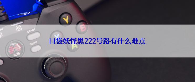 口袋妖怪黑222号路有什么难点