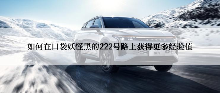 如何在口袋妖怪黑的222号路上获得更多经验值