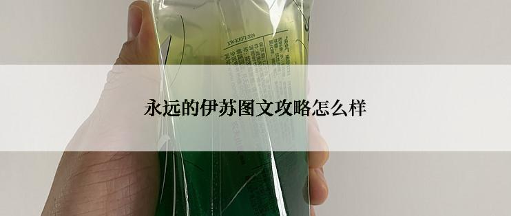 永远的伊苏图文攻略怎么样