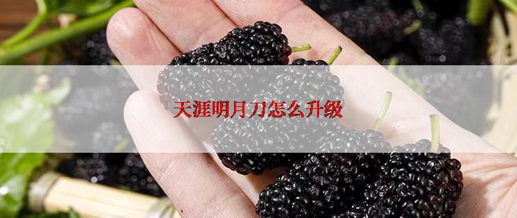 天涯明月刀怎么升级