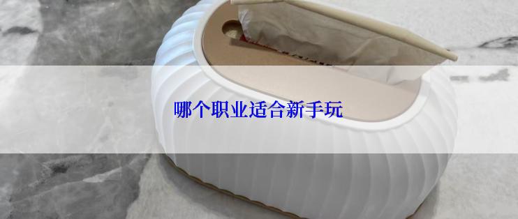 哪个职业适合新手玩