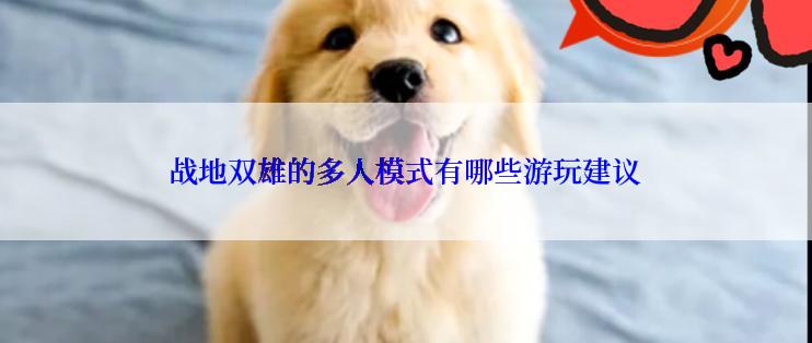 战地双雄的多人模式有哪些游玩建议