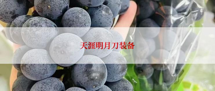 天涯明月刀装备