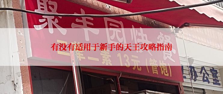 有没有适用于新手的天王攻略指南