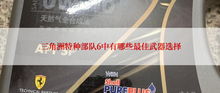  三角洲特种部队6中有哪些最佳武器选择