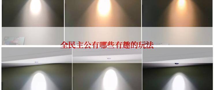 全民主公有哪些有趣的玩法