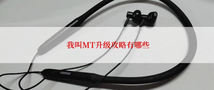 我叫MT升级攻略有哪些