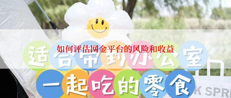 如何评估网金平台的风险和收益