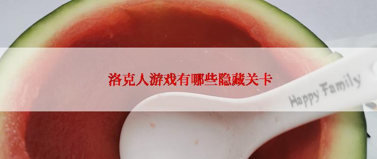  洛克人游戏有哪些隐藏关卡