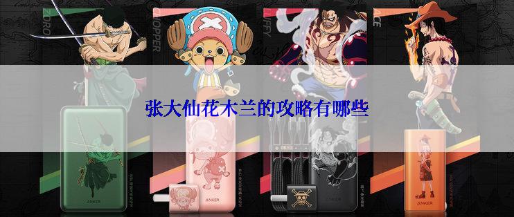 张大仙花木兰的攻略有哪些