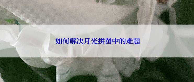  如何解决月光拼图中的难题