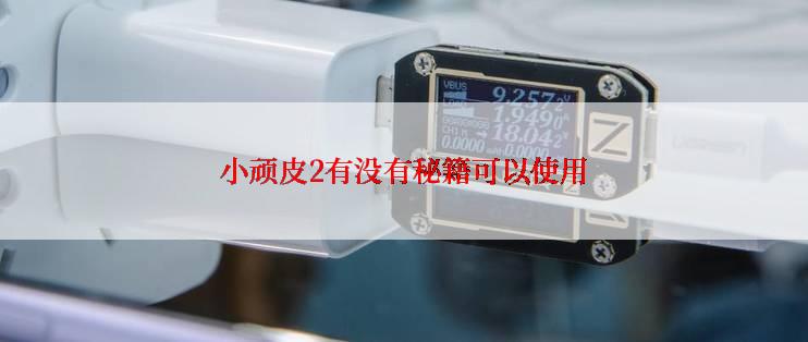 小顽皮2有没有秘籍可以使用