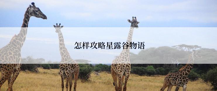  怎样攻略星露谷物语