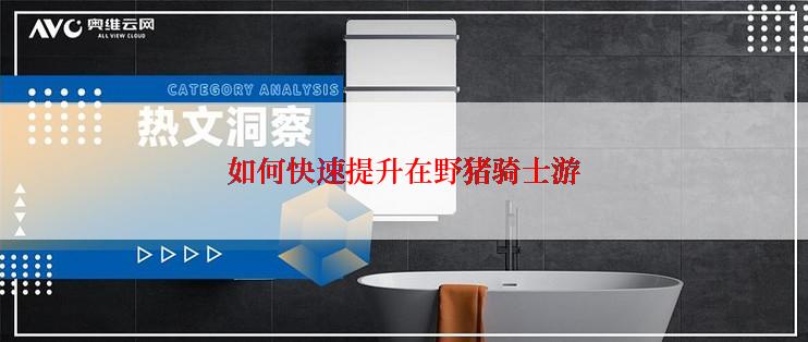 如何快速提升在野猪骑士游