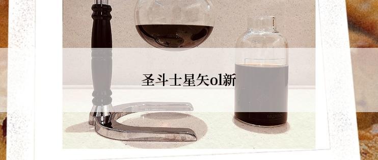 圣斗士星矢ol新
