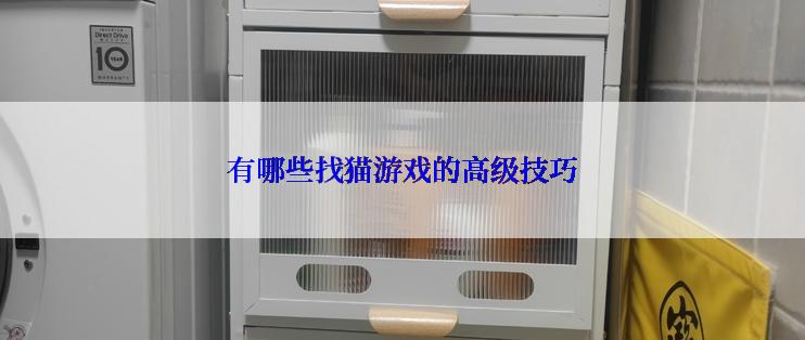 有哪些找猫游戏的高级技巧