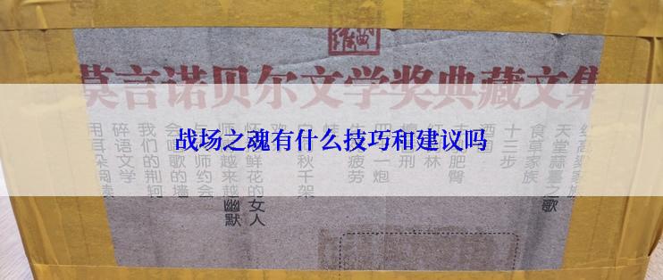 战场之魂有什么技巧和建议吗