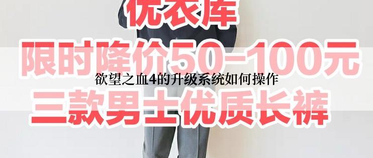 欲望之血4的升级系统如何操作