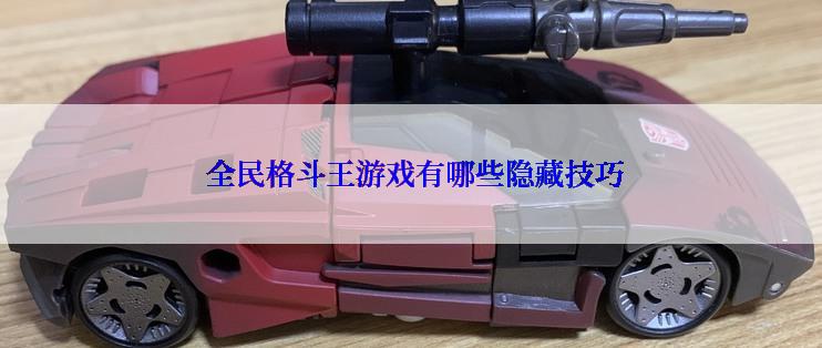  全民格斗王游戏有哪些隐藏技巧