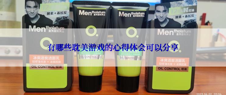 有哪些耽美游戏的心得体会可以分享