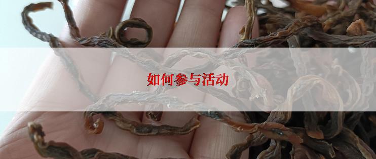 如何参与活动