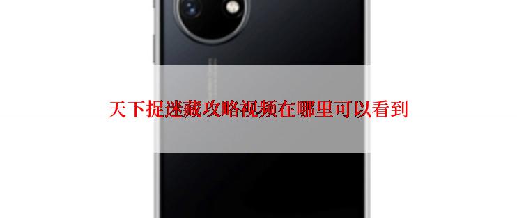天下捉迷藏攻略视频在哪里可以看到