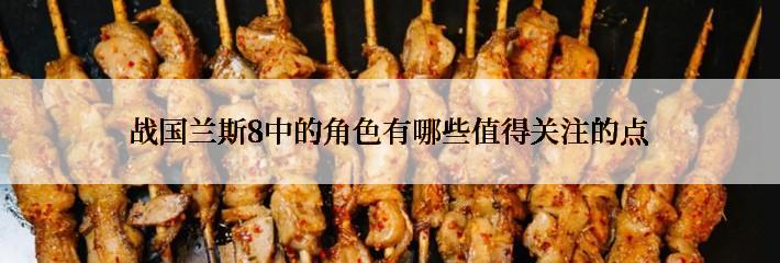 战国兰斯8中的角色有哪些值得关注的点