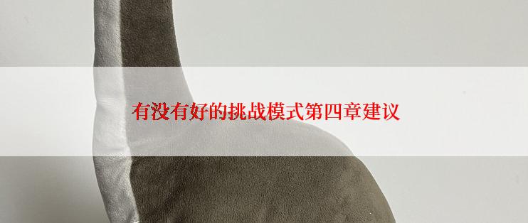  有没有好的挑战模式第四章建议