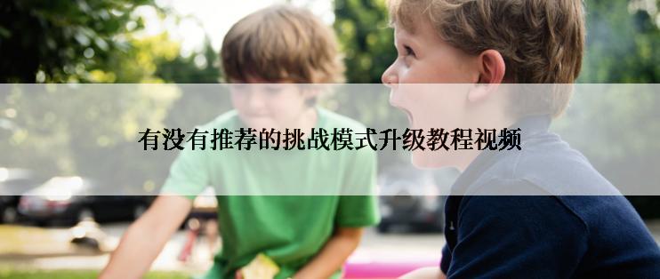 有没有推荐的挑战模式升级教程视频