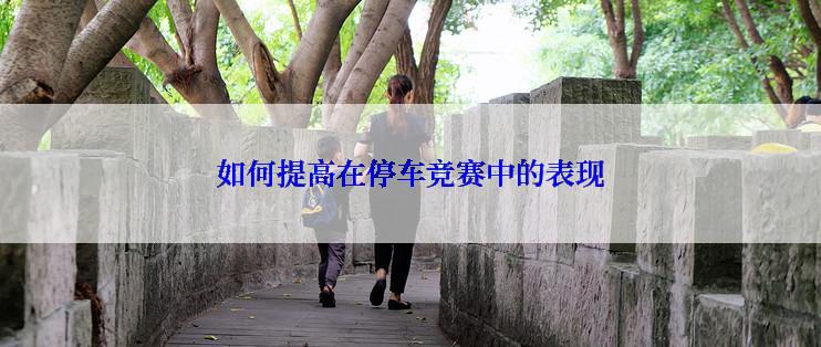 如何提高在停车竞赛中的表现