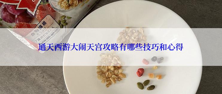通天西游大闹天宫攻略有哪些技巧和心得