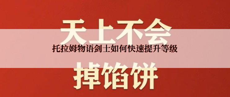 托拉姆物语剑士如何快速提升等级