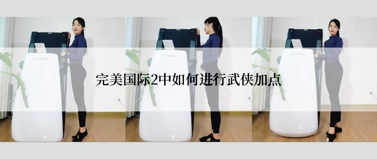 完美国际2中如何进行武侠加点