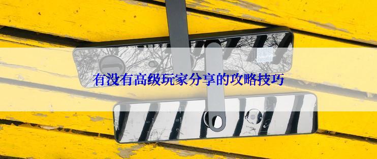 有没有高级玩家分享的攻略技巧