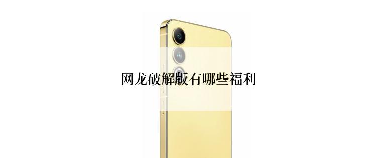  网龙破解版有哪些福利