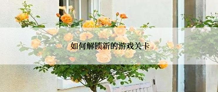  如何解锁新的游戏关卡