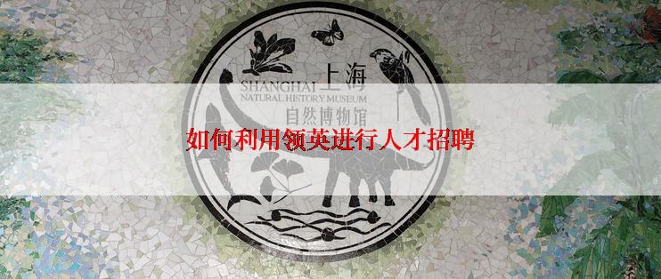 如何利用领英进行人才招聘