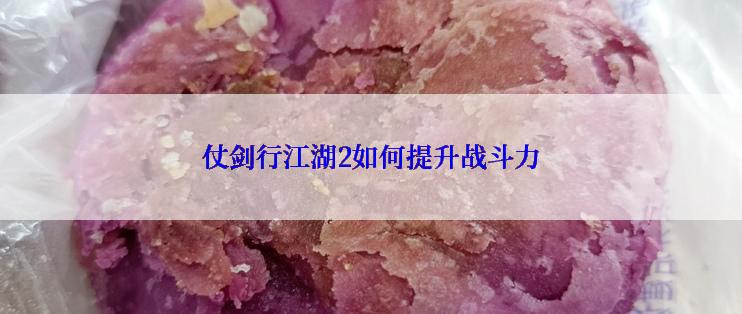 仗剑行江湖2如何提升战斗力