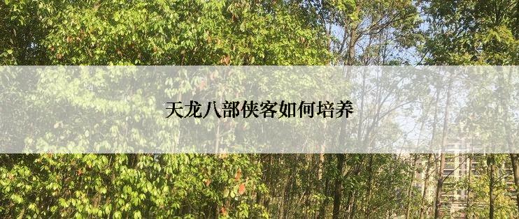 天龙八部侠客如何培养