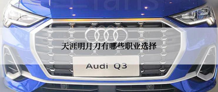 天涯明月刀有哪些职业选择