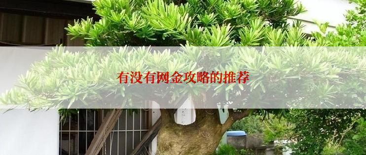 有没有网金攻略的推荐