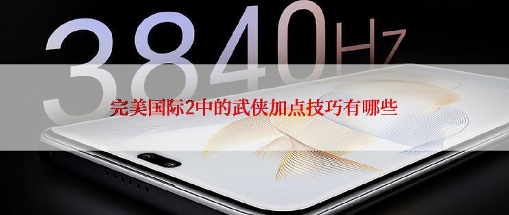 完美国际2中的武侠加点技巧有哪些