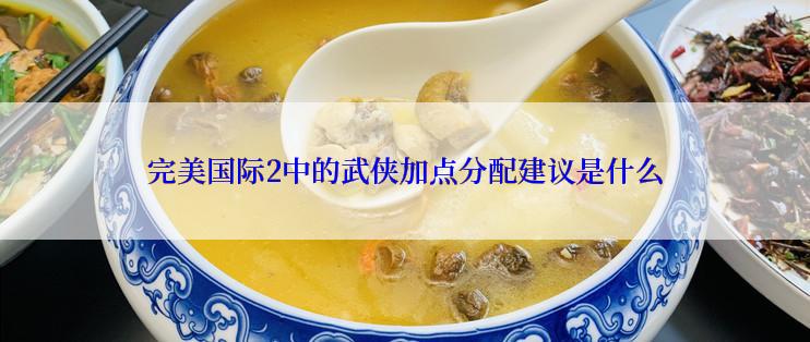 完美国际2中的武侠加点分配建议是什么