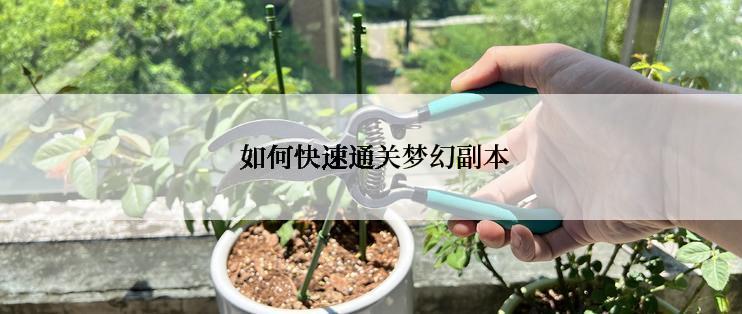  如何快速通关梦幻副本
