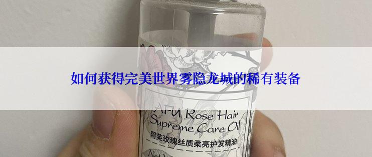 如何获得完美世界雾隐龙城的稀有装备